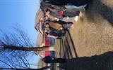 IMG_20250322_100245