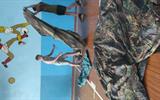 IMG_20250530_122334