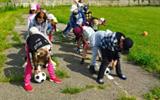 IMG-87eec2108a72666cf34be8dd3205a0f1-V