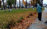 IMG-cf3adf402d531d06447d94038d9c1b8f-V