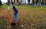 IMG-d606ec3c17d7590c21eb91c65b3414f3-V