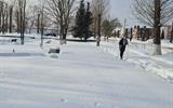 20260123_120239